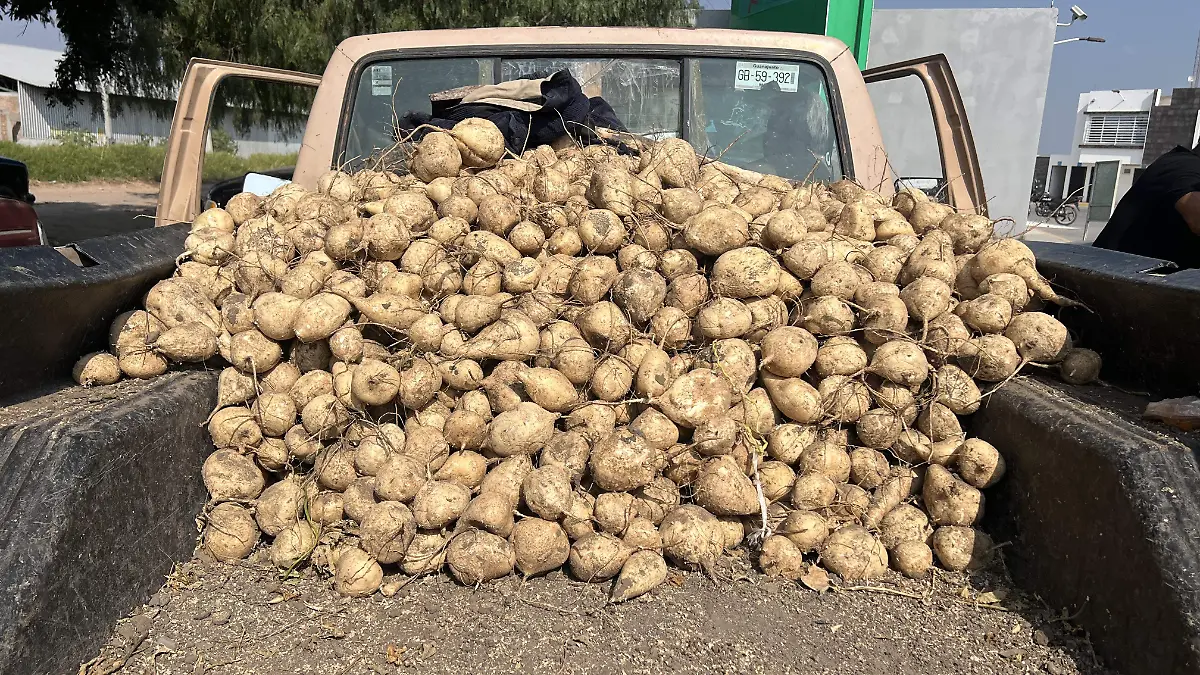 Agricultores venden su mercancía en San Juan de la Vega, Celaya2