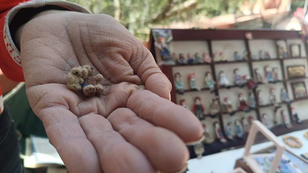Su trabajo es muy detallado y delicado, lo que la mantiene en la Asociación de Miniatuaras de la Ciudad de México.