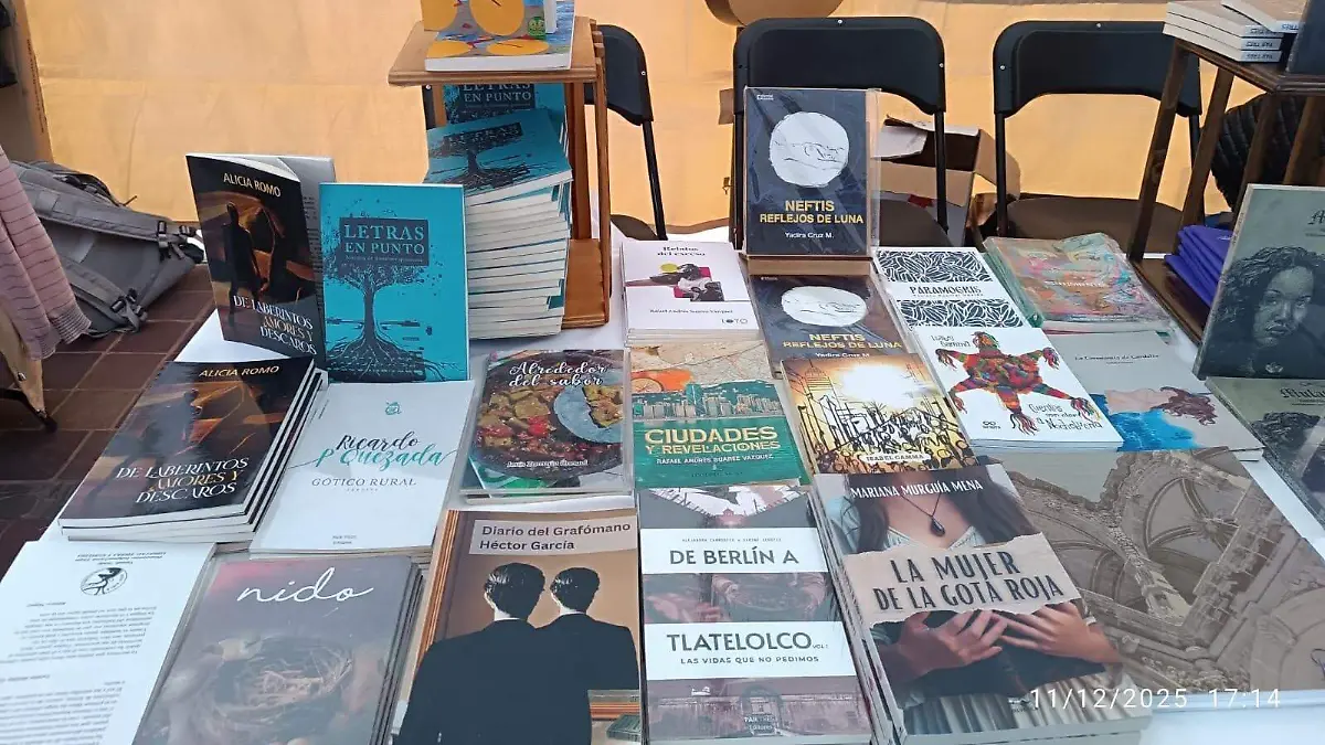 WhatsApp Image 2025-12-12 at 4.19.50 PM (1)