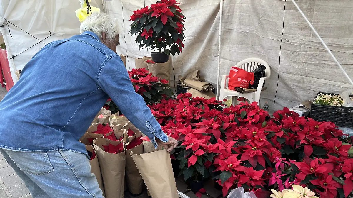 El Celayense Jesús Aguilera, lleva más de 25 años vendiendo esta planta en Celaya 