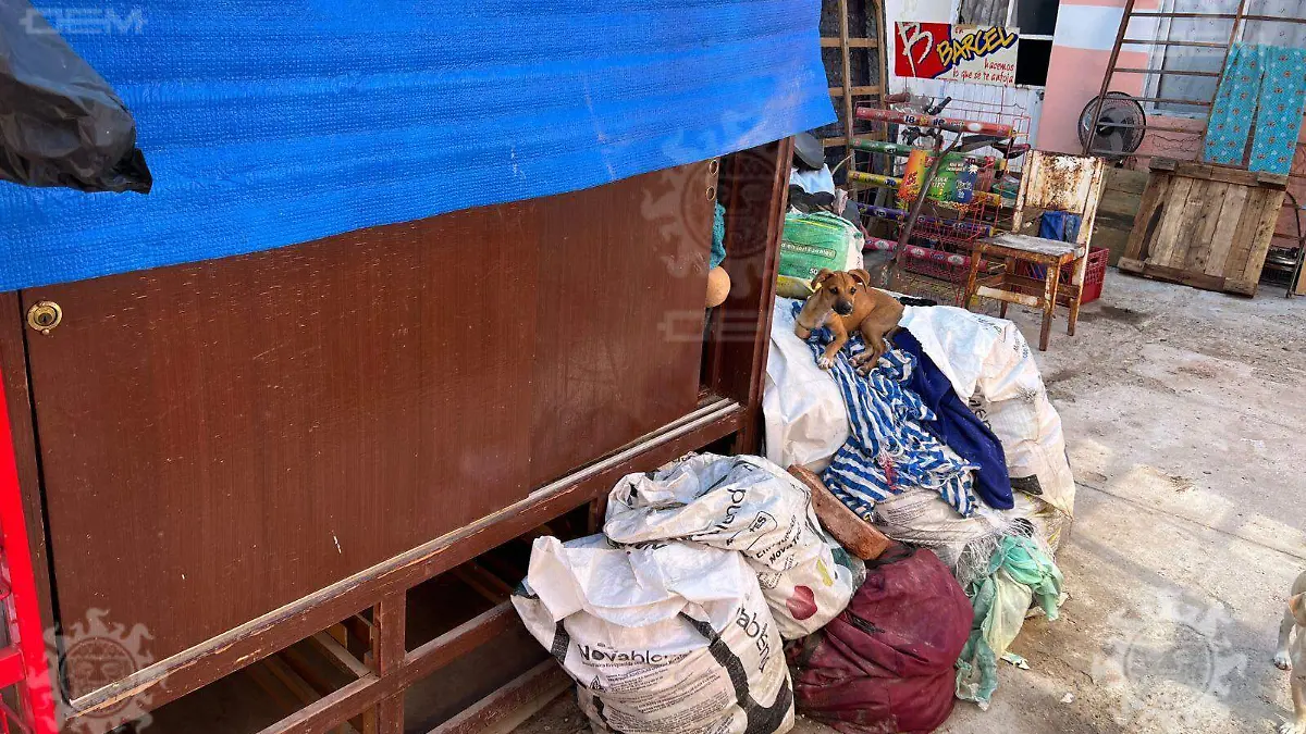 Inundación en la Cuauhtémoc, Celaya2