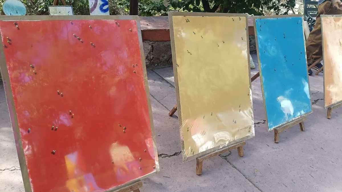 Pinturas Daniel Fermín en SMA