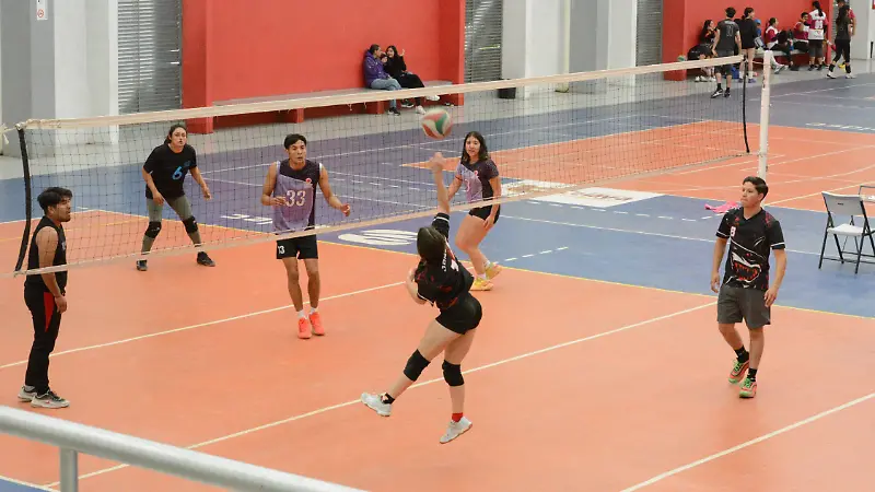 Compiten en la categoría Mixta. 