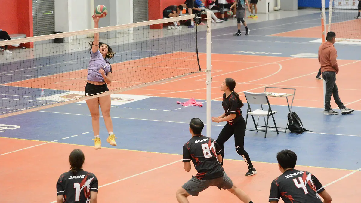 Fue la jornada 11 en la Liga Premier de Voleibol de Celaya.