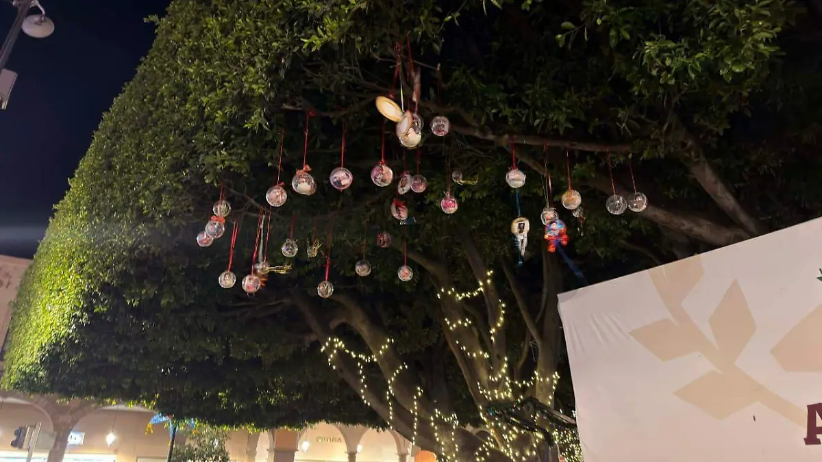 Esferas de personas desaparecidas en Celaya2