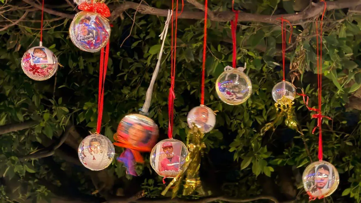 WhatsApp Image 2025-12-22 at 9.27.55 PM