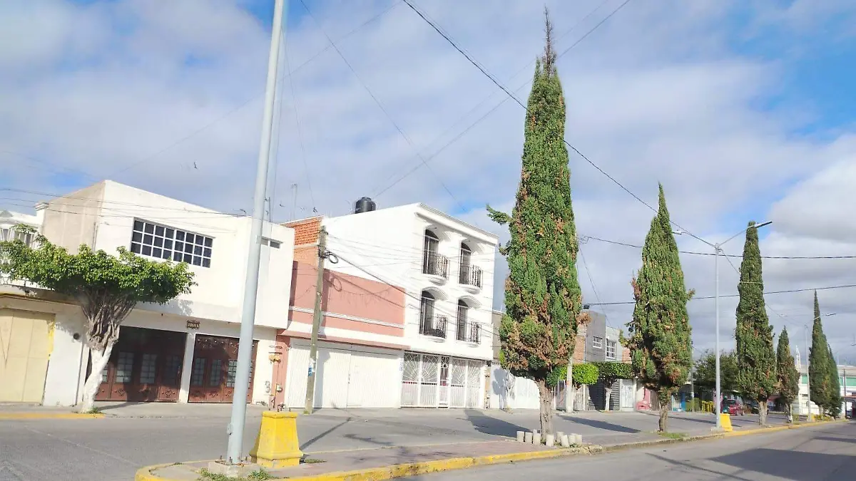 cd83c389-1e15-4158-9949-16391a8b2026