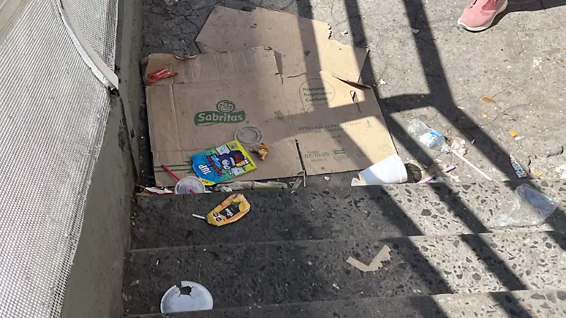 En las escaleras del puente hay una camisa considerable de basura lo que puede ocasionar accidentes 
