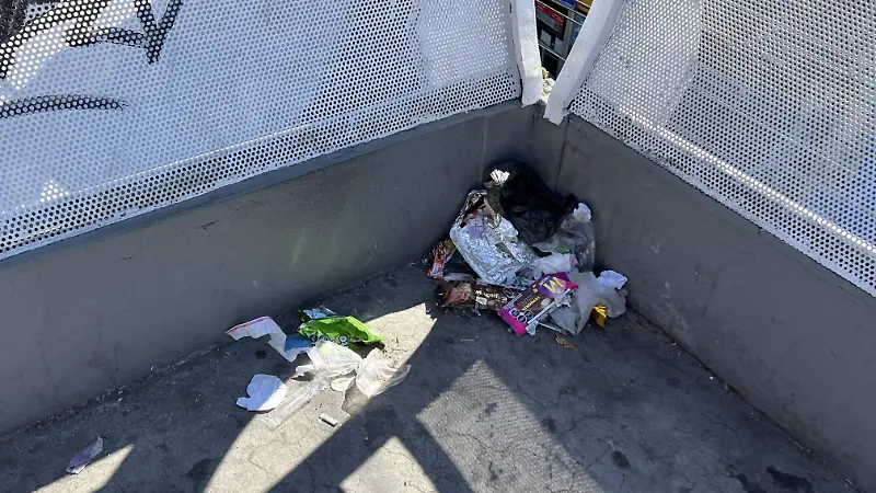 Es la esquina del puente se acumula la basura, lo que generará un foco de infección