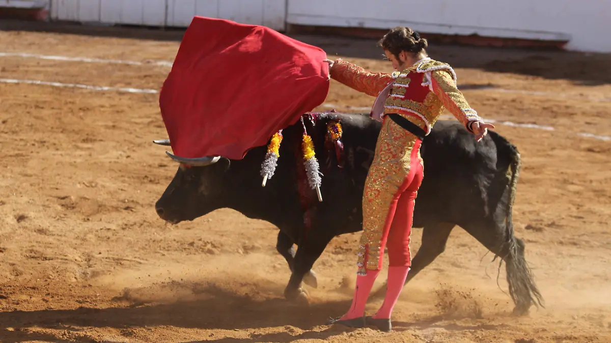 toros