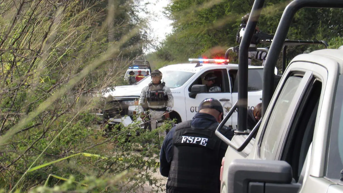 aec9dfb4-8b15-48bd-a7c3-2347eaaae0d6