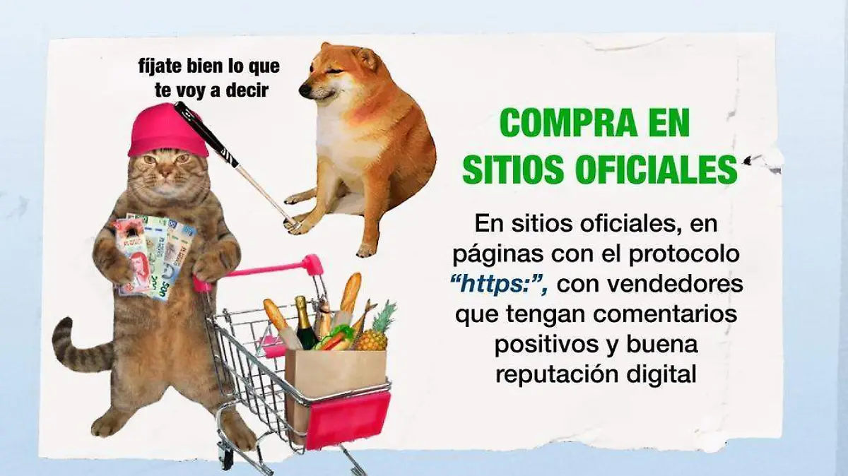 Compra en sitios seguros para evitar estafas 