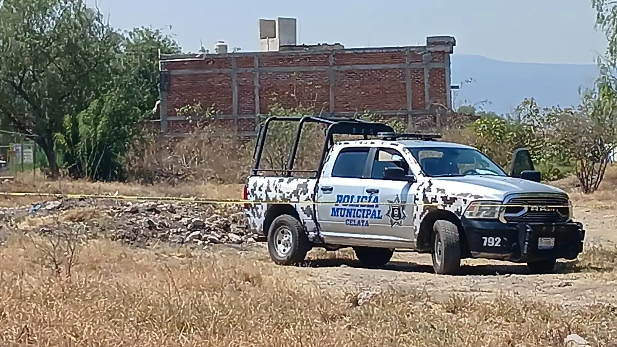 Homicidios a la baja en celaya2