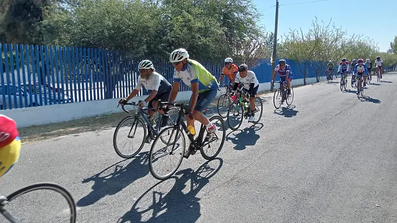 Pertenecen a diferentes equipos, clubes o de manera independiente. 