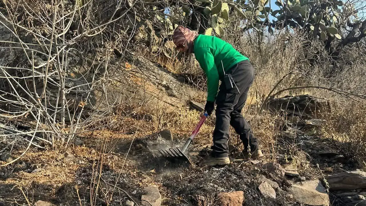 Incendio Sierra de los Agustinos