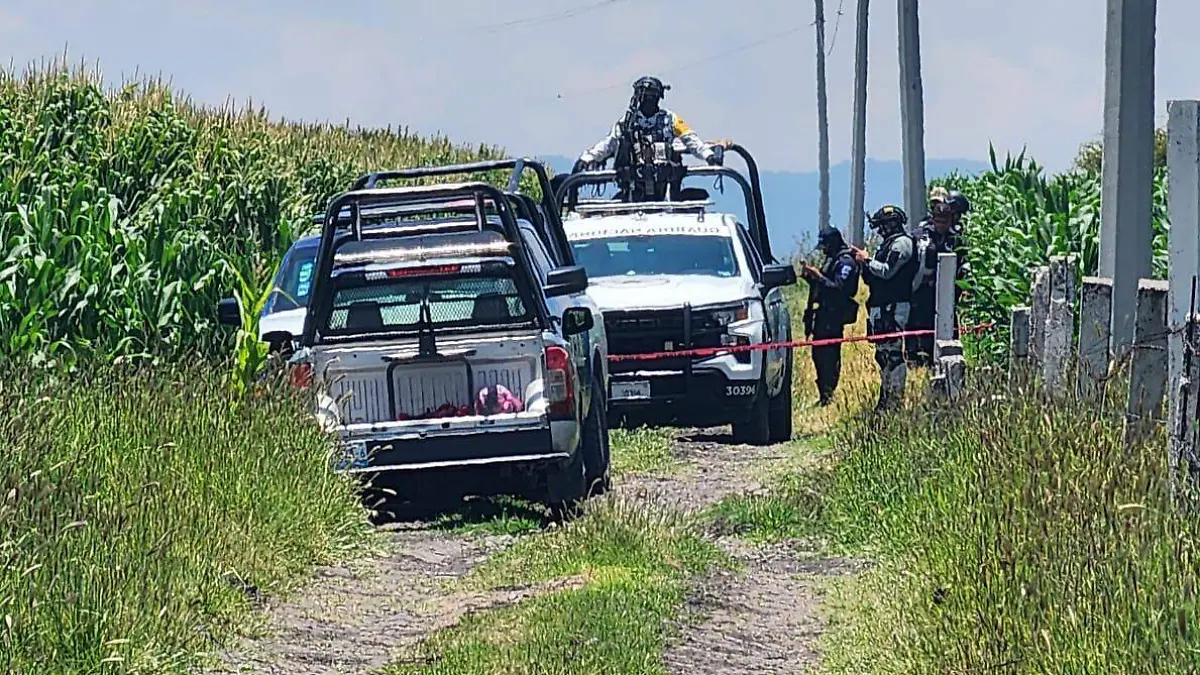 98590ea1-df4f-4157-b9f6-c65252f9e947