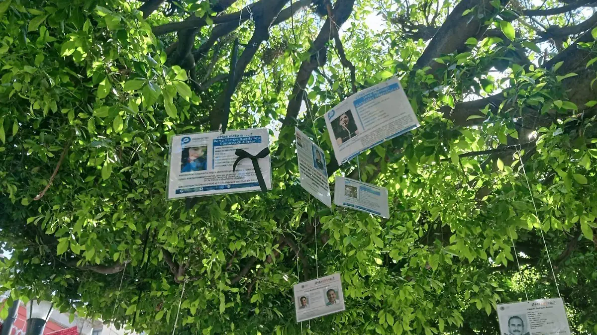 Colocan fichas de búsqueda de personas desaparecidas de Celaya y de la región Laja-Bajío, en el jardín principal.