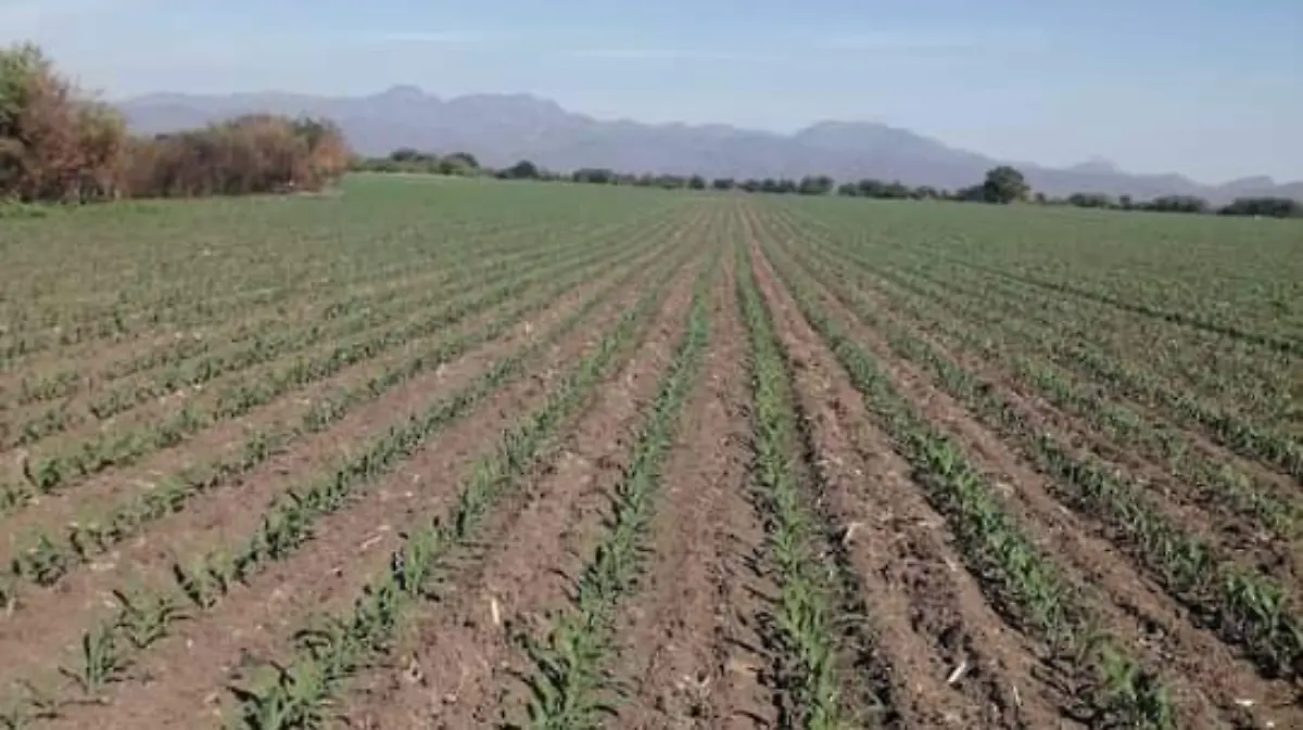 c1ce2400-b3be-4b7e-9bb9-f46bbb050da4