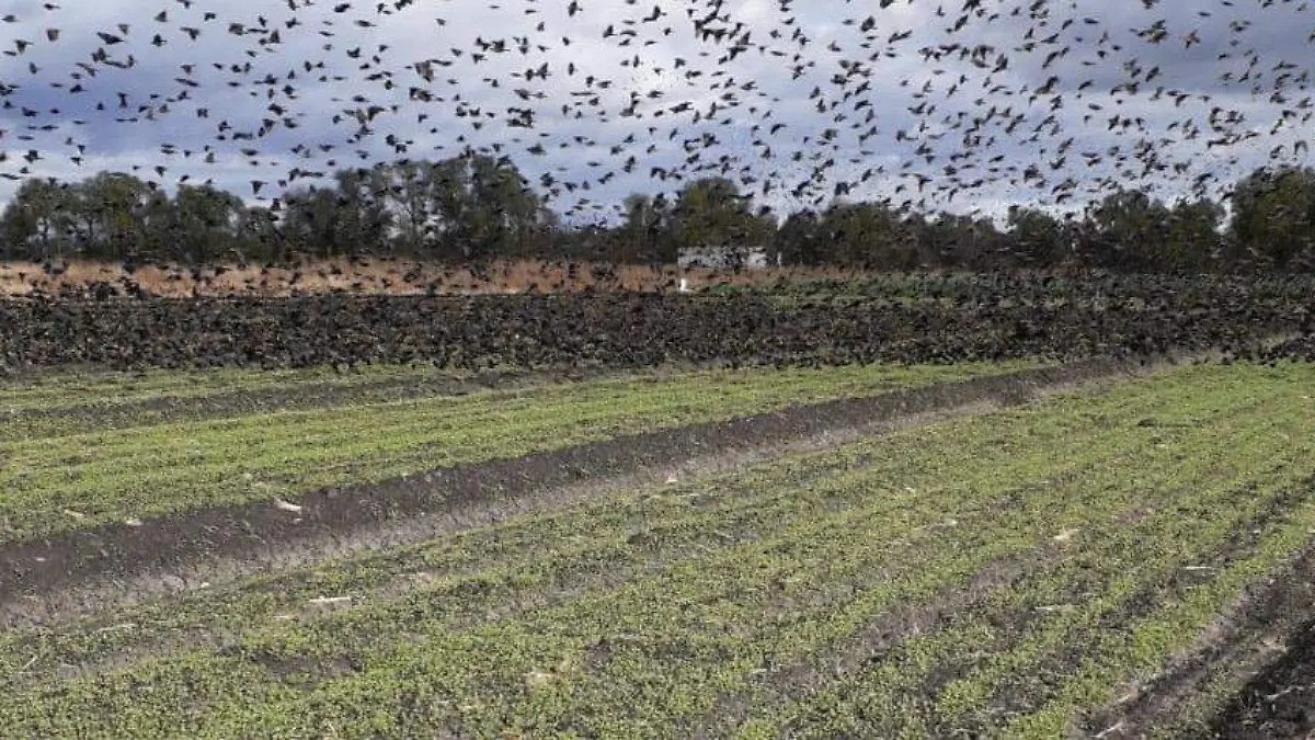 28f045d5-50ec-45a8-9bd8-292d735621fd