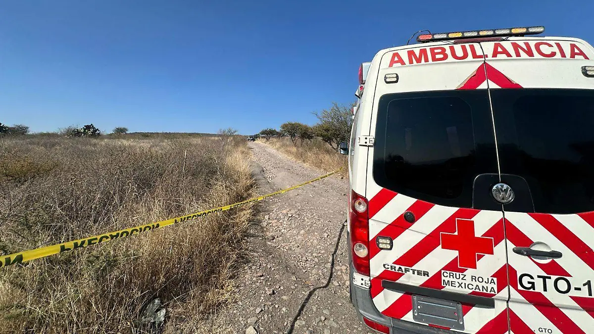 2941b6ef-94a0-4390-bb40-4109ca67f3f0