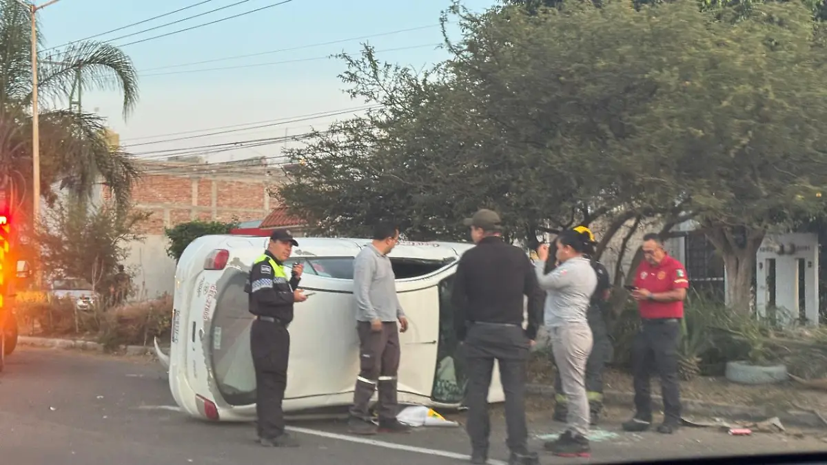 f1110876-93fd-44c4-a3d2-5daf59d1eba3