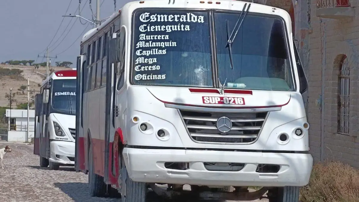 transporte sma (2)