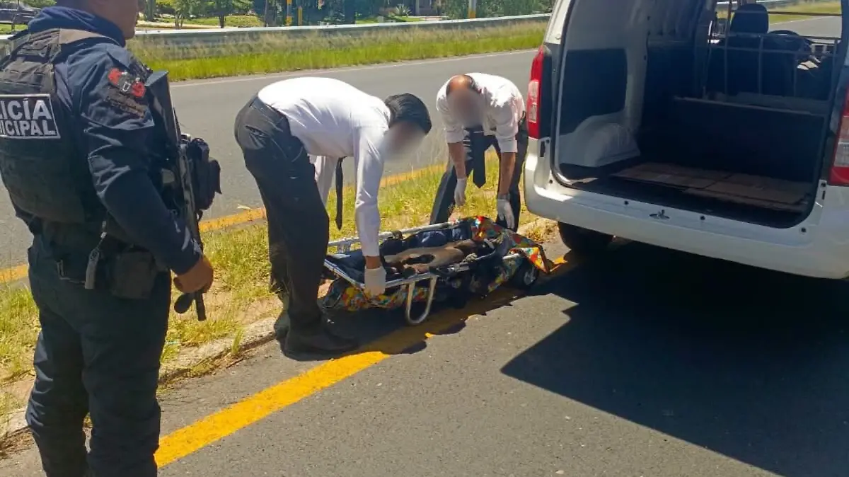 Se tuvo el fallecimiento de varios perros en el año 