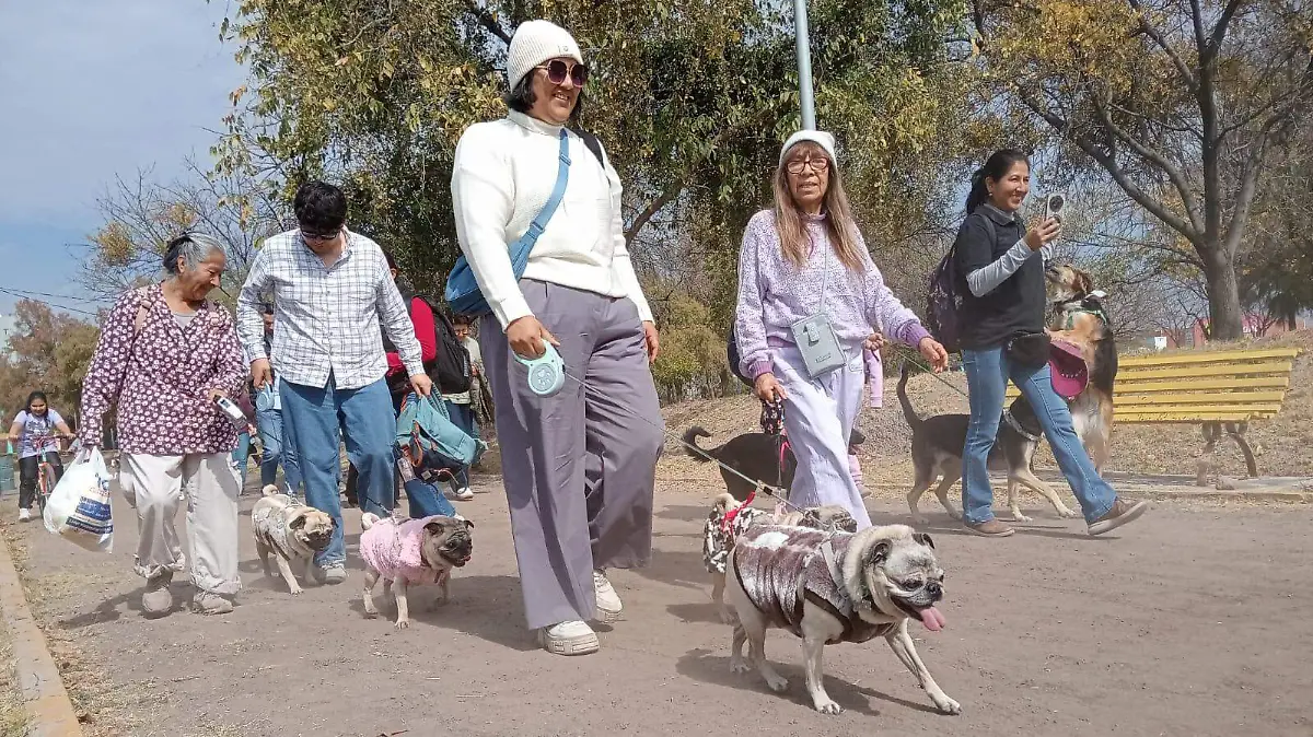 parqueperro 2