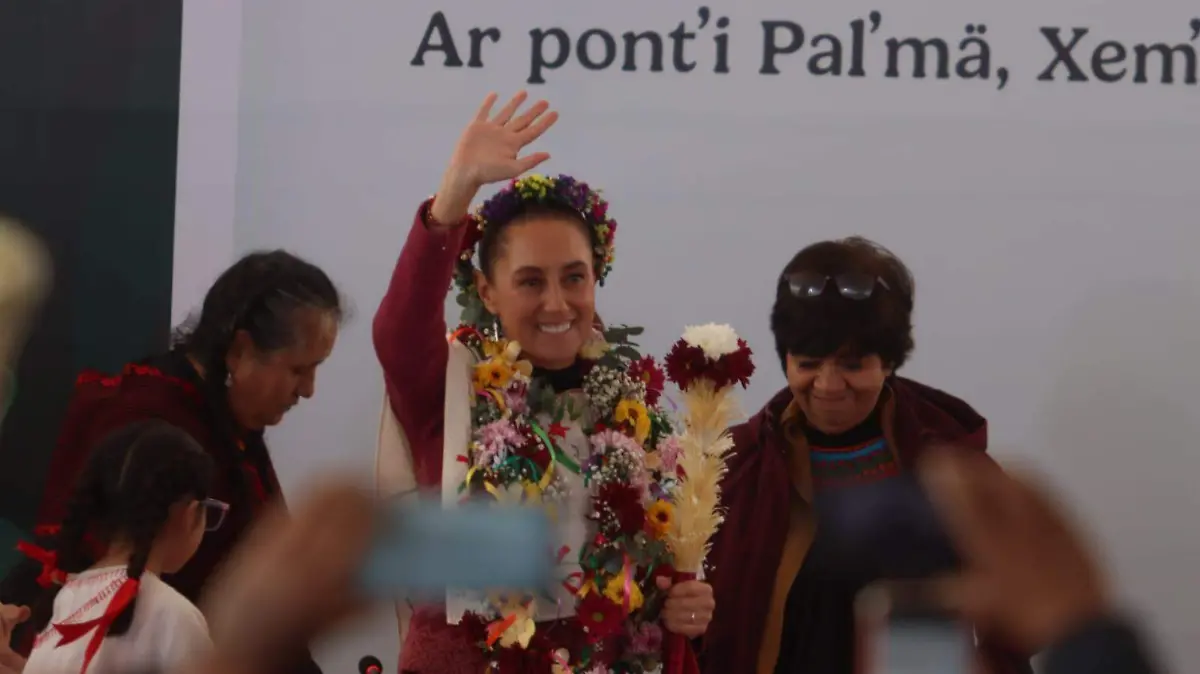 WhatsApp Image 2026-01-18 at 12.34.44