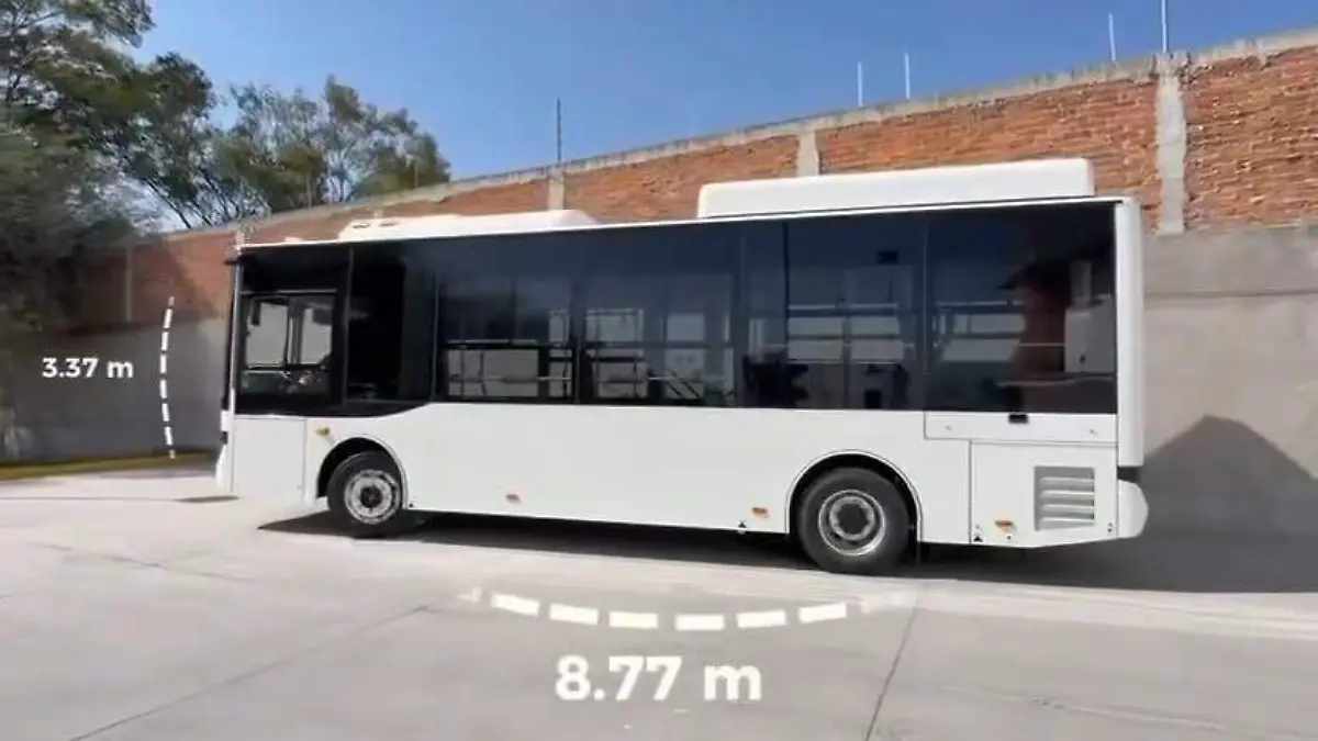 WhatsApp Image 2026-01-19 at 21.00.38