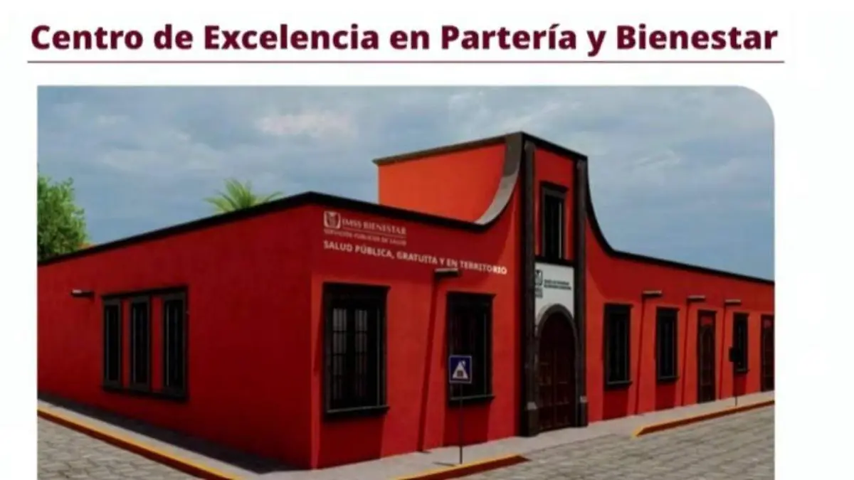 Se busca que la partería sea reconocida como una profesión.