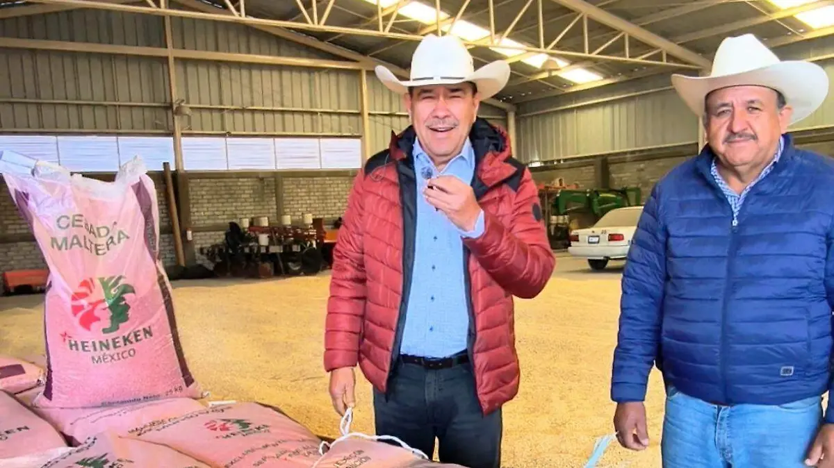 Paulo Bañuelos Rosales, director del Parque, informó que actualmente Xonotli cuenta con 230 hectáreas sembradas de cebada