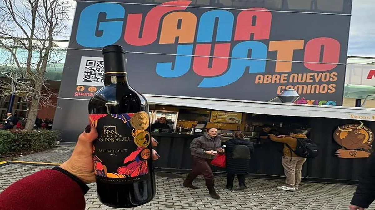 Las etiquetas de Viñedos San Miguel, reconociendo su nivel y competitividad frente a vinos de tradición internacional.