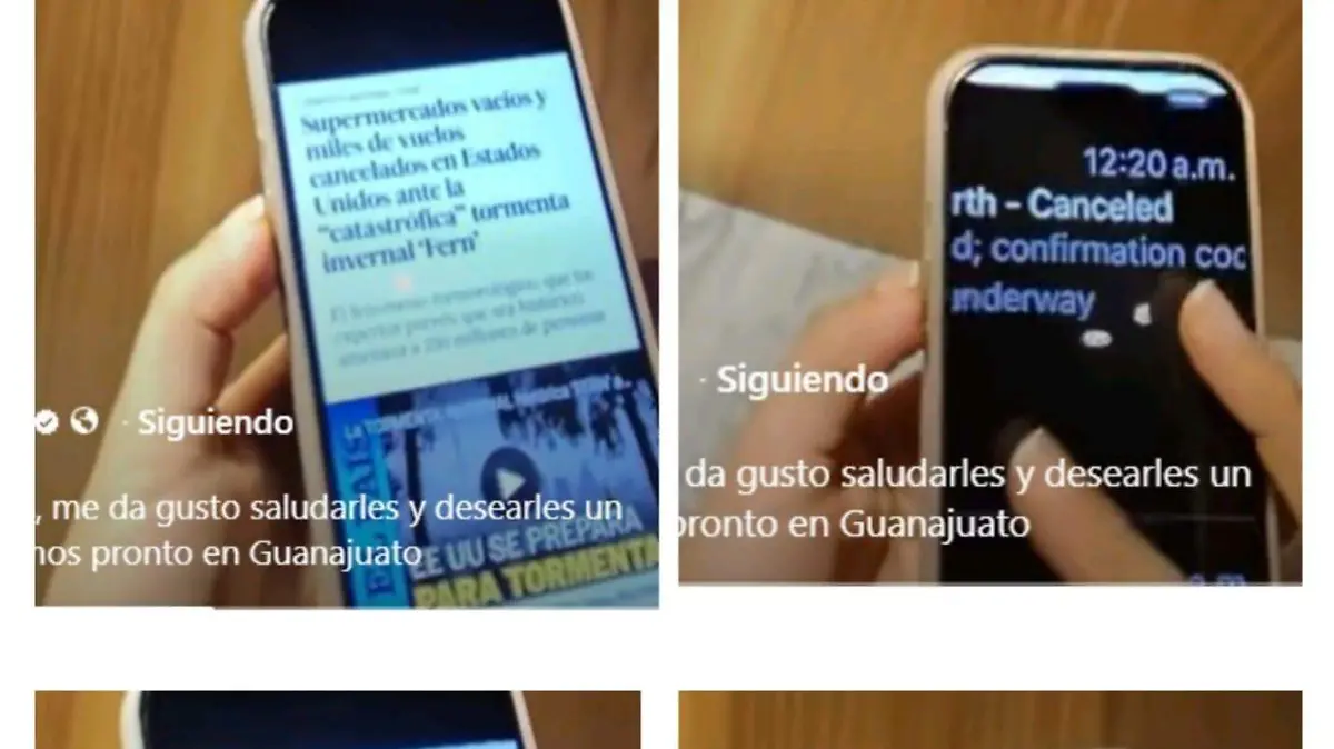 WhatsApp Image 2026-01-24 at 14.47.57