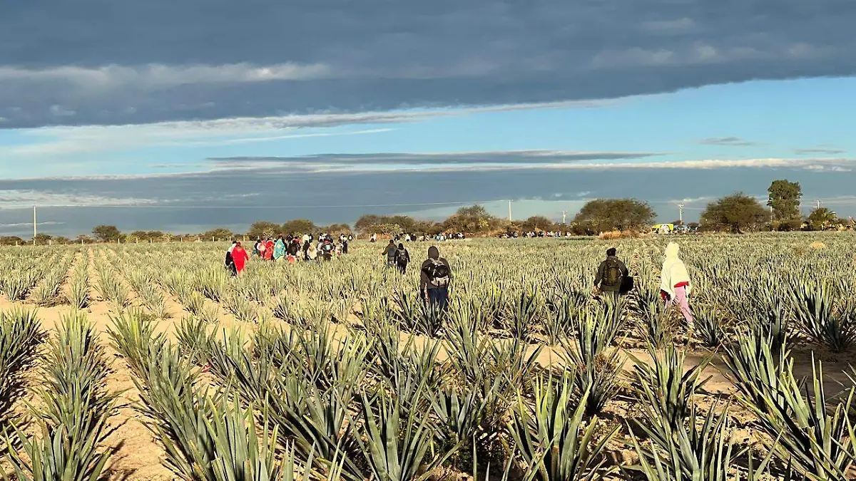 peregrinos amanecer1