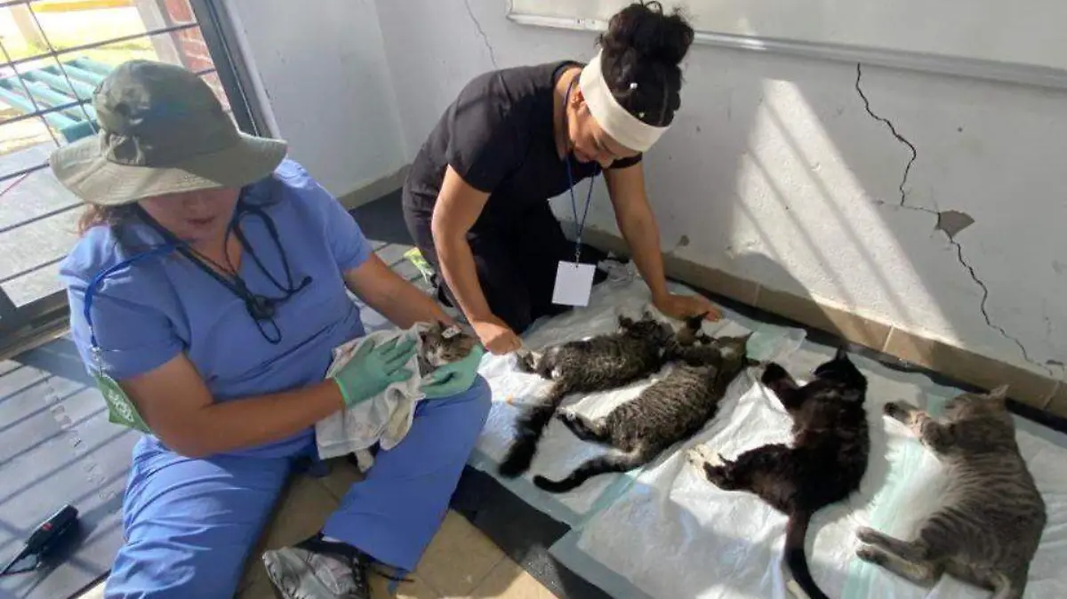 2b54fbe6-98aa-4c4e-a614-4499126a6cfb