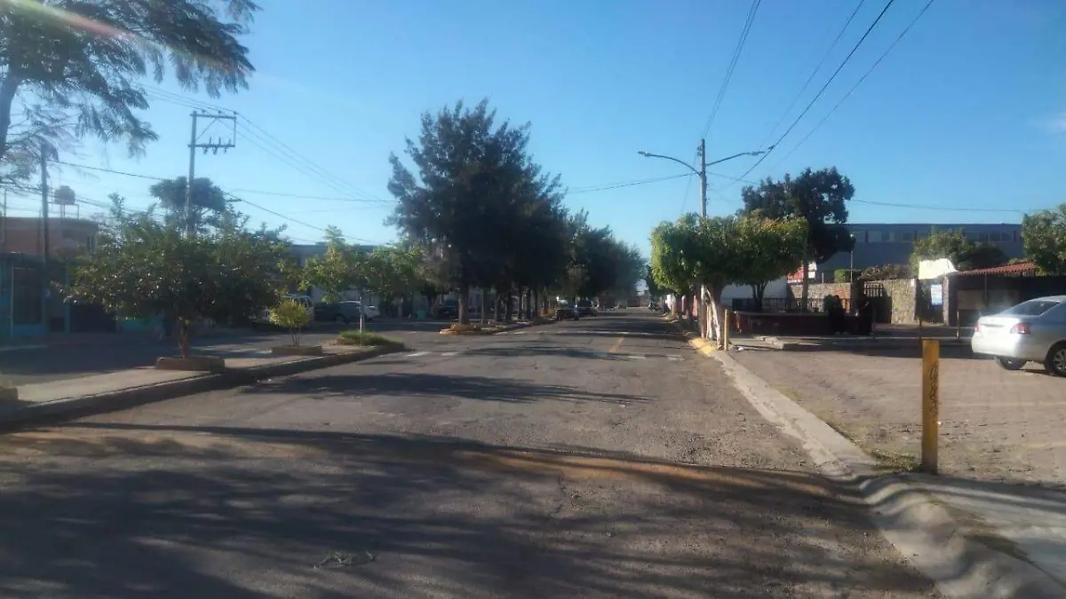 3113ea26-0108-4975-9c19-537a07440754