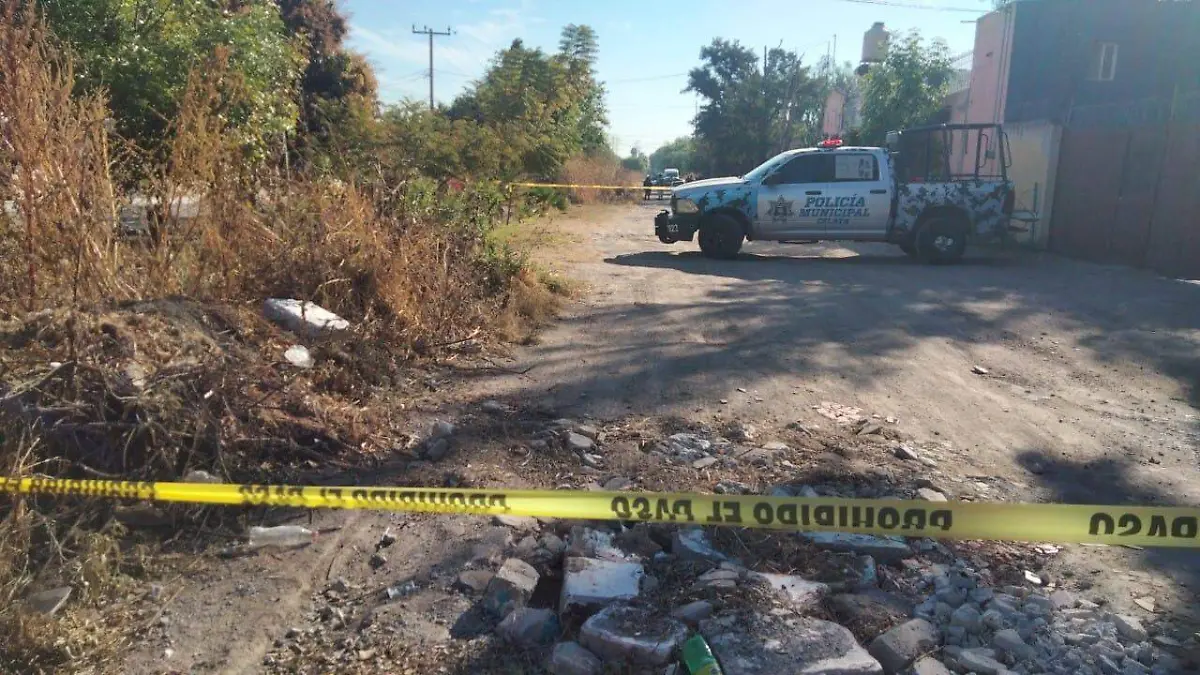 bd624109-c8b2-4ad3-b1f3-16de67bae657