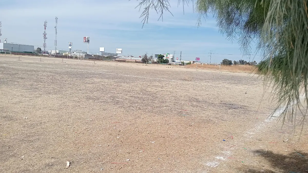 Así se ven los espacios de los campos LUC. 