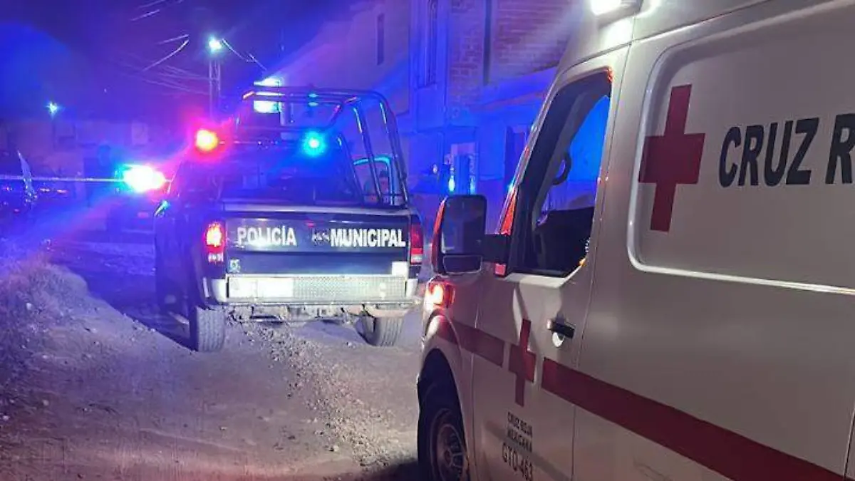 c4e558f7-46ab-4f21-b3ff-5750c4430bc2