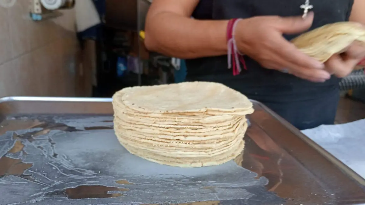 tortilla 3