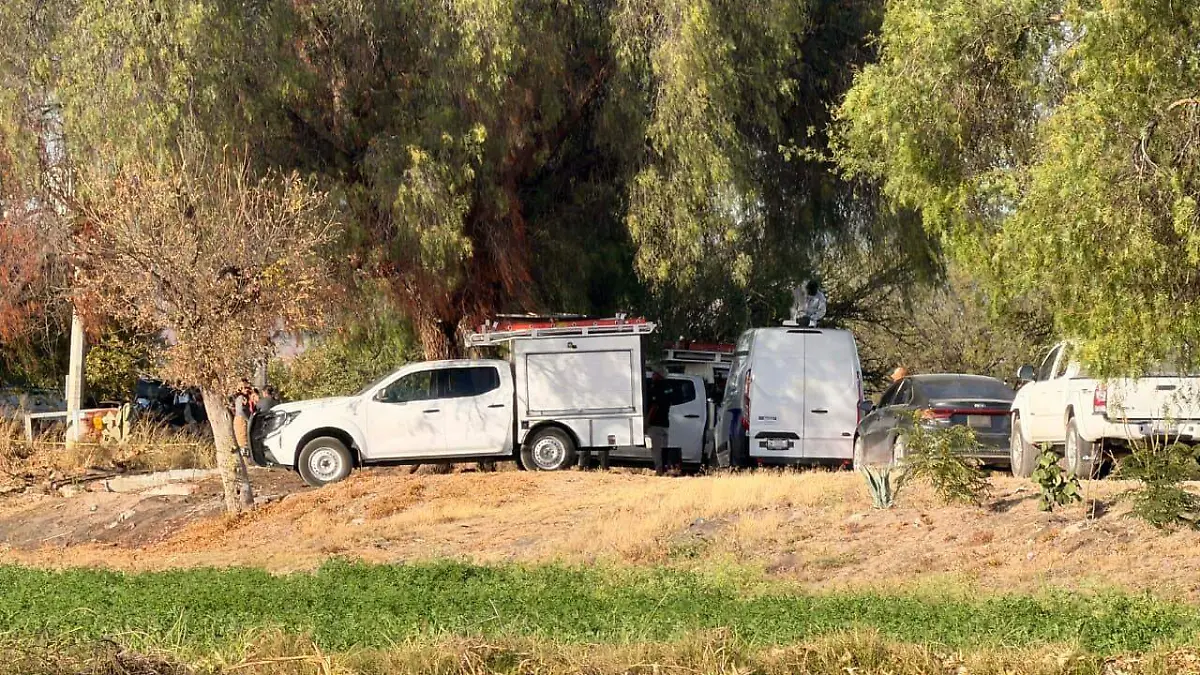 WhatsApp Image 2026-02-03 at 4.36.11 PM