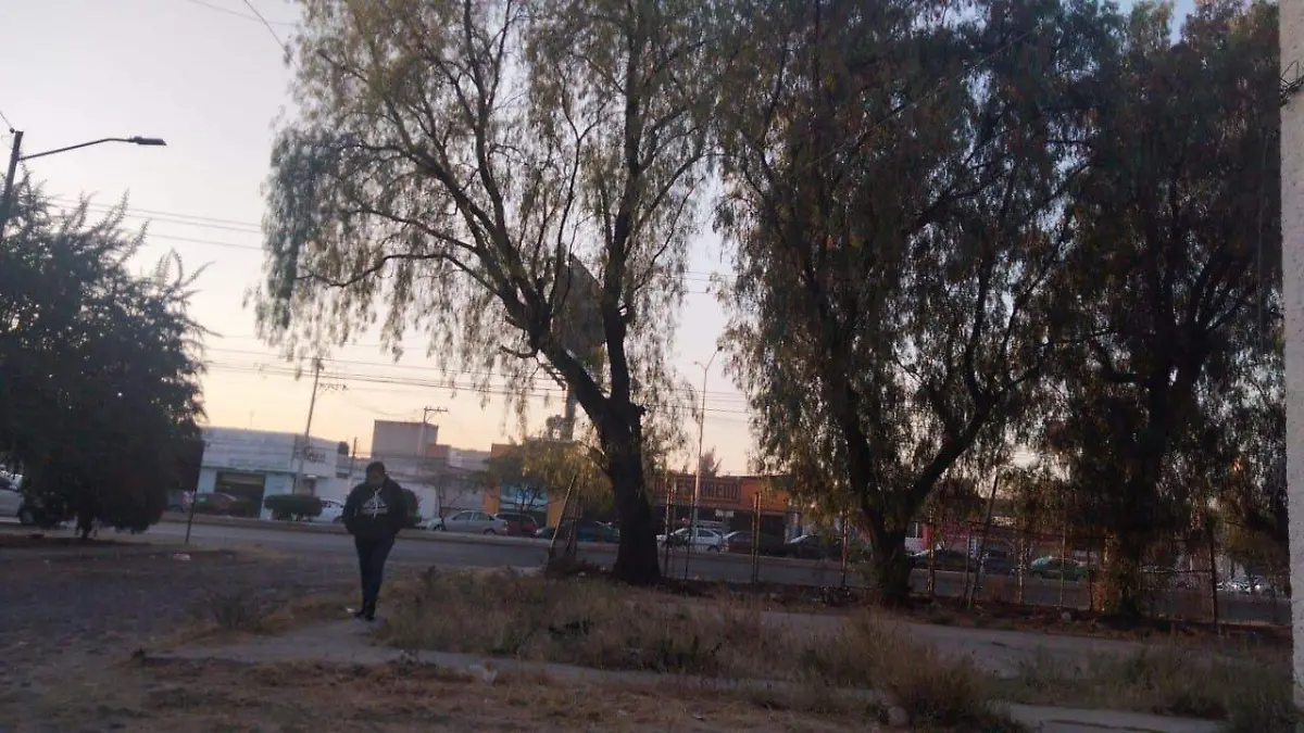 WhatsApp Image 2026-02-05 at 8.58.59 AM