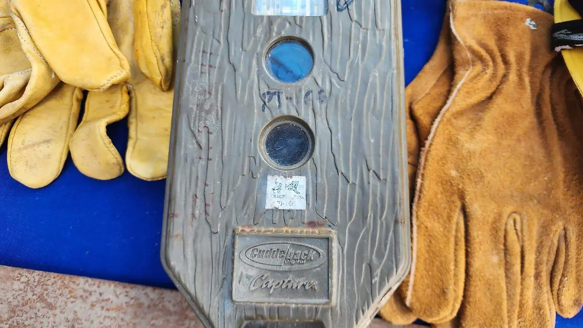 Las cámaras trampas han sido de gran ayuda para los guardabosques.