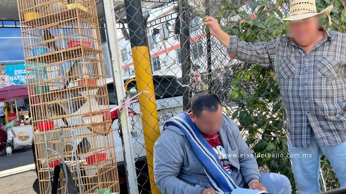 Copia de GALERIAS CON LOGO 2