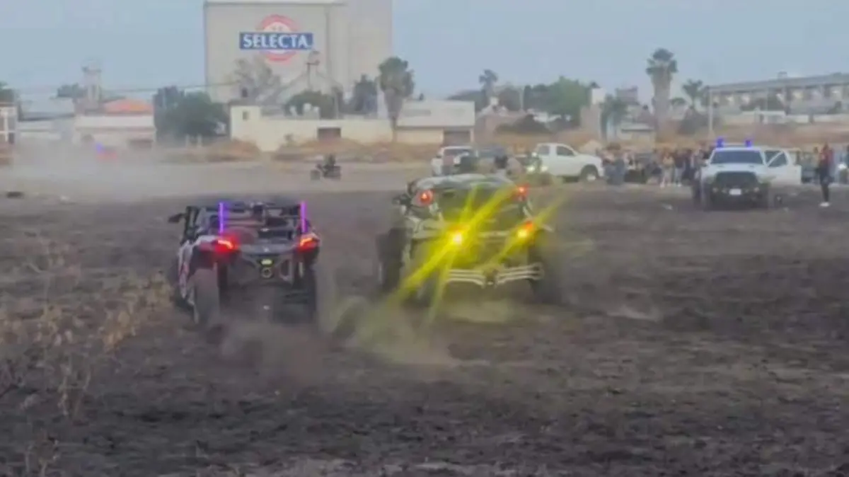 WhatsApp Image 2026-02-06 at 2.46.14 PM