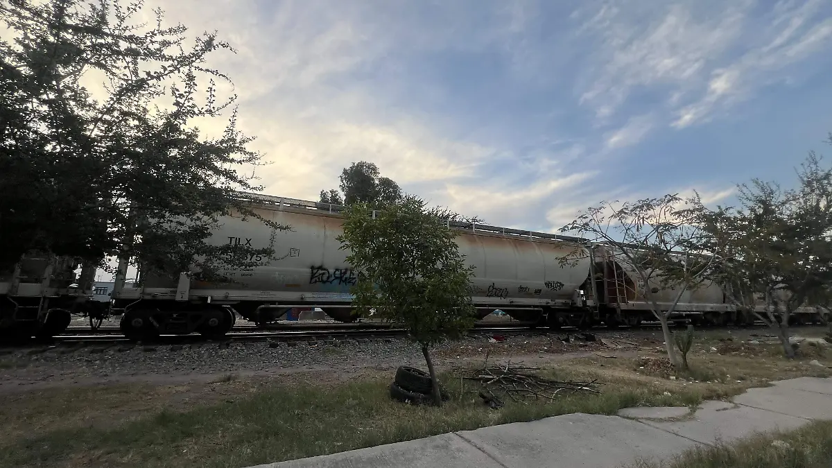 Tren de carga sobre avenida 2 de Abril haciendo maniobras 