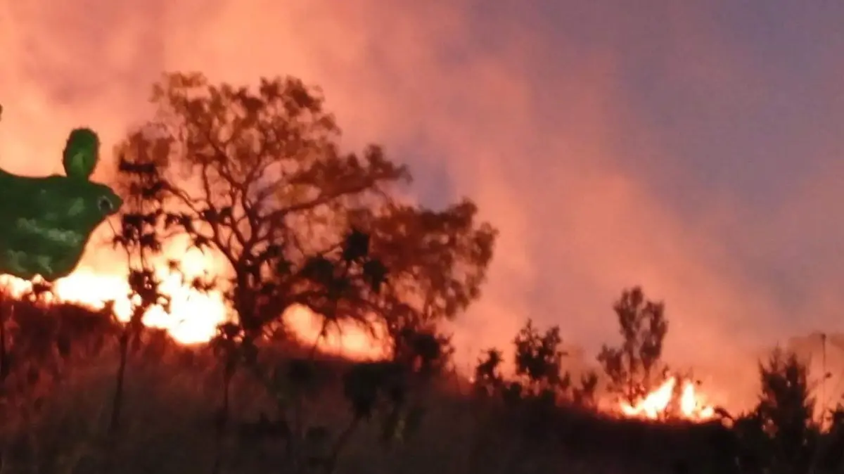 Incendio cerro