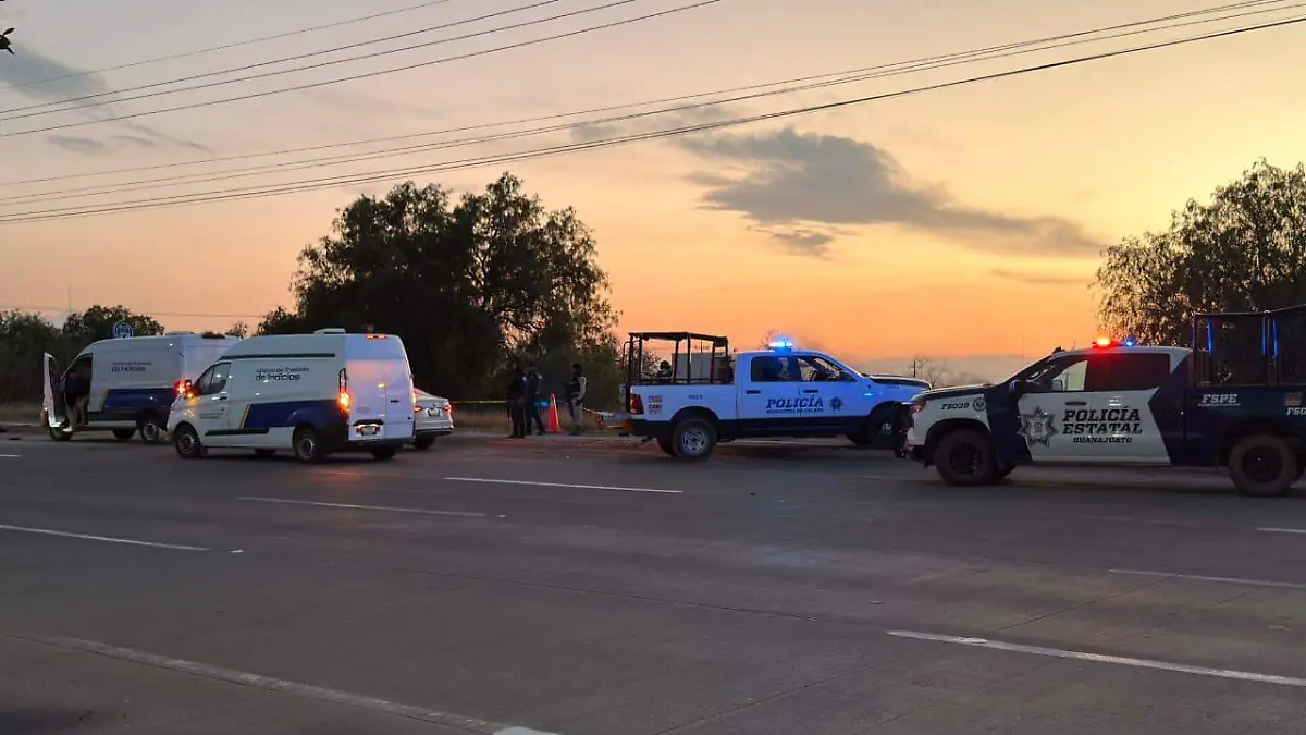 WhatsApp Image 2026-02-08 at 7.28.39 PM