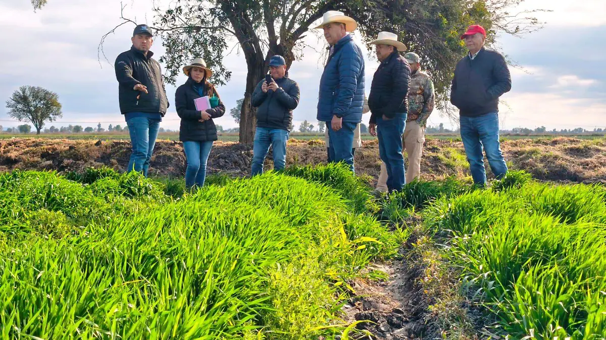 Durante el desarrollo del experimento, Bayer brinda acompañamiento técnico